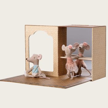 Ballet mice in dance studio